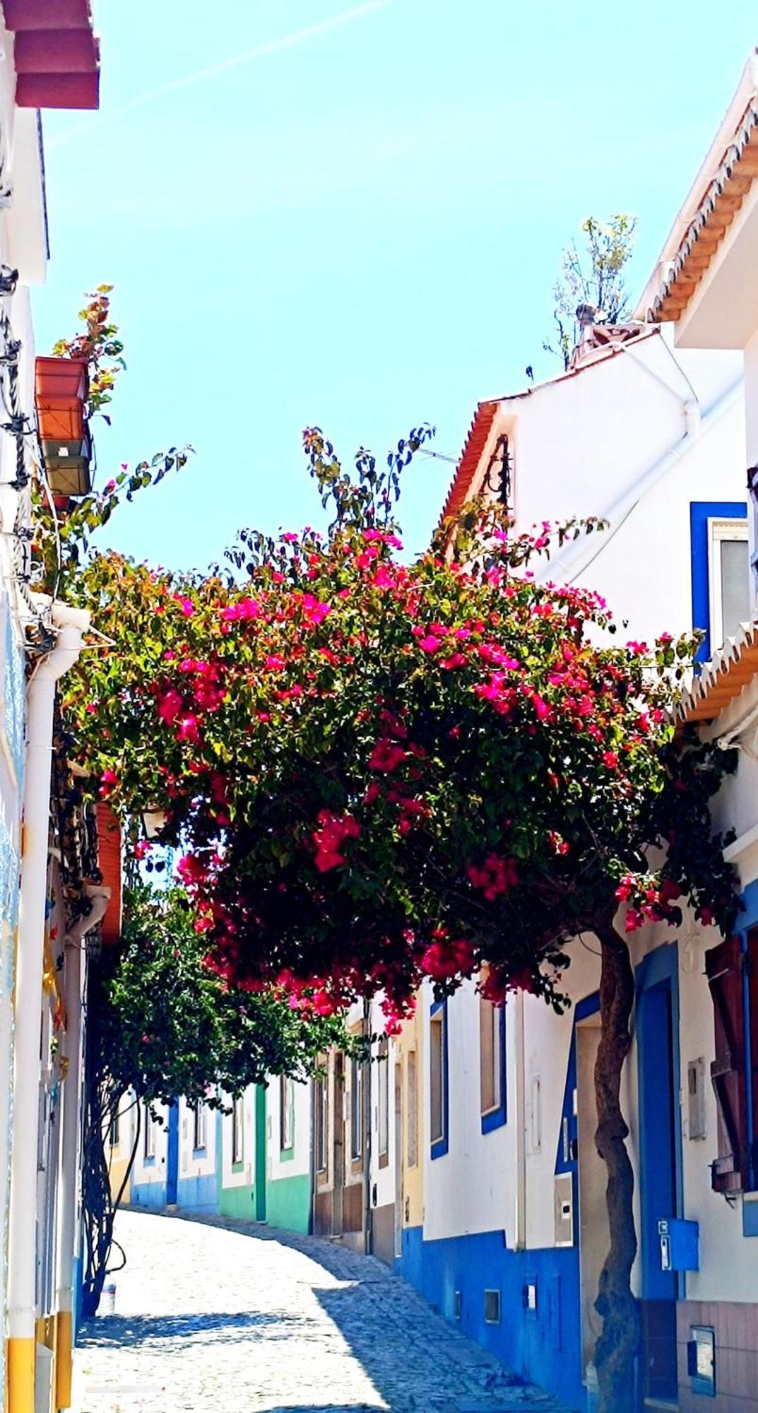 Wonderful Apartment In Ferragudo 2Double Beds Near Beaches And Golf Eksteriør billede